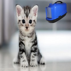 KEDİ TUVALET KAPLARI