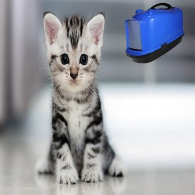 KEDİ TUVALET KAPLARI